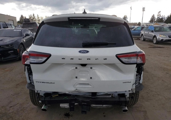 Ford Escape cena 56000 przebieg: 12294, rok produkcji 2022 z Kosów Lacki małe 67